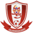 广东广州数科女足logo