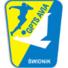 威亚斯威德尼克logo